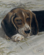 “Ladie as a Puppy” - Beagle Pastel Portrait Print
