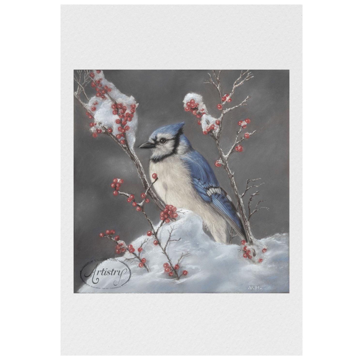 Blue Jay in Winter – Pastel Bird Fine Art Print