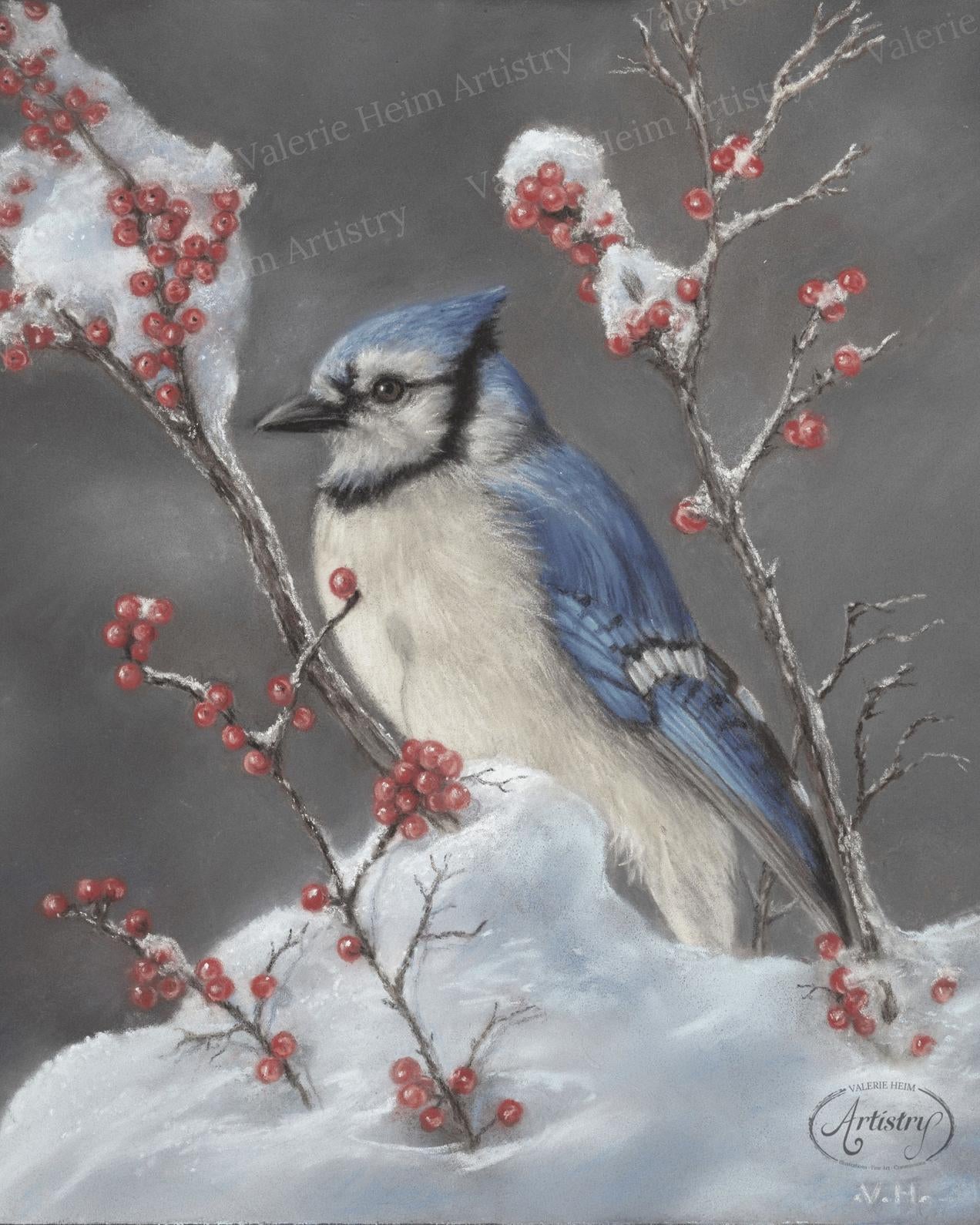 Blue Jay in Winter – Pastel Bird Fine Art Print