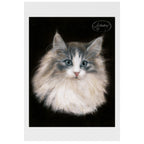 Blue-Eyed Cat – Pastel Portrait Fine Art Print