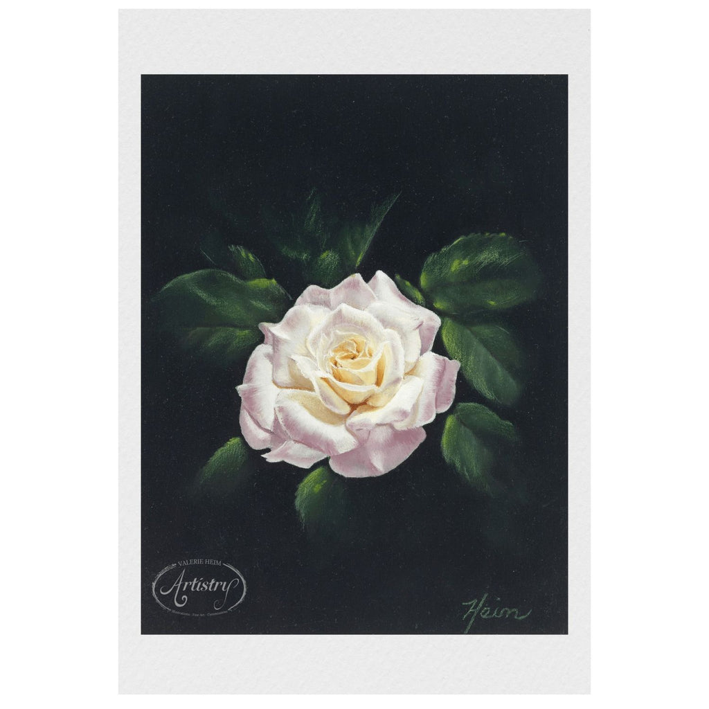 Garden Rose – Oil Painting Fine Art Print