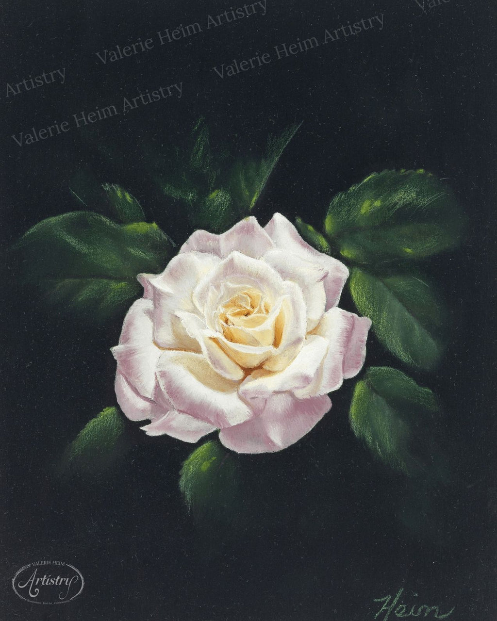 Garden Rose – Oil Painting Fine Art Print