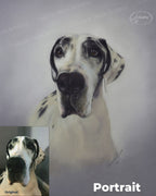 Commission a Custom Portrait (Down Payment)