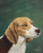 Ladie the Lady – Beagle Pastel Dog Portrait Fine Art Print