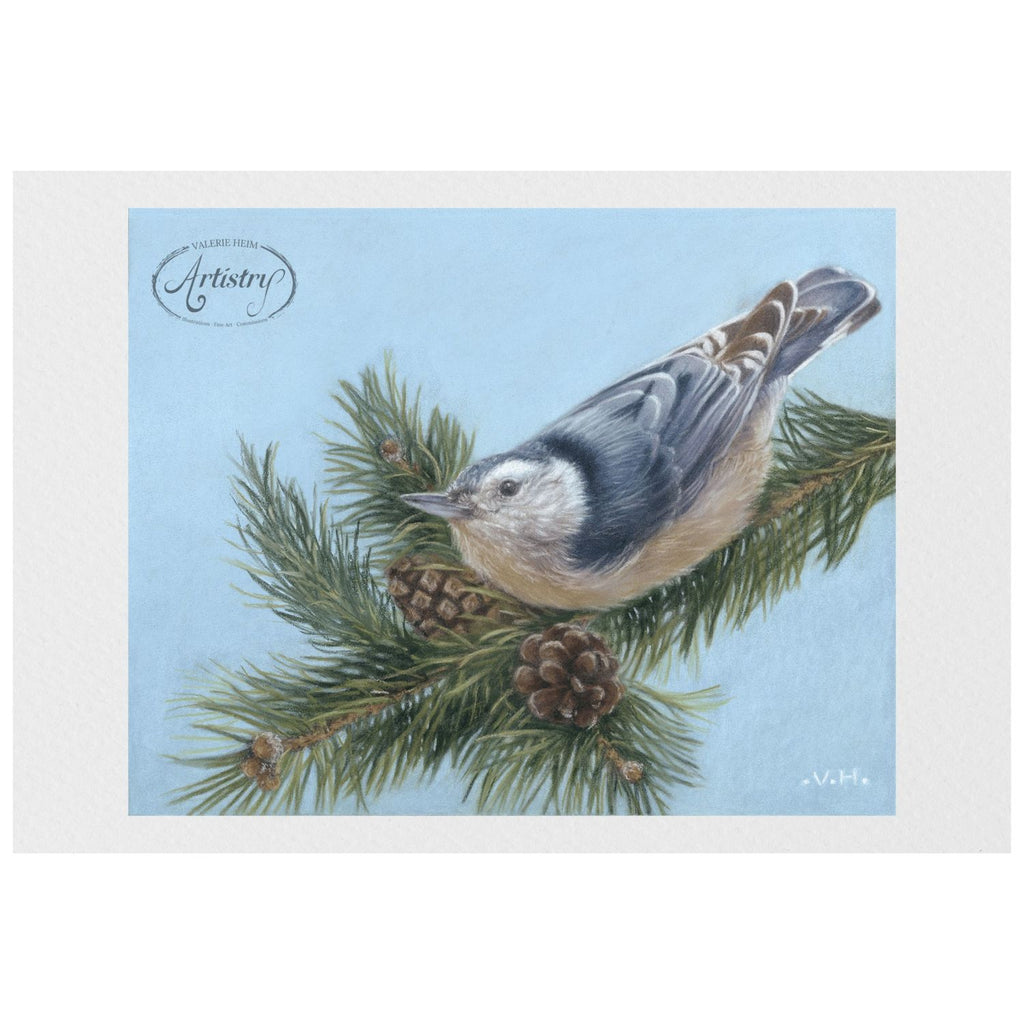 Red-Breasted Nuthatch – Pastel Bird Portrait Fine Art Print