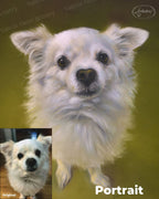 Commission a Custom Portrait (Down Payment)