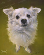 Commission a Custom Portrait (Down Payment)