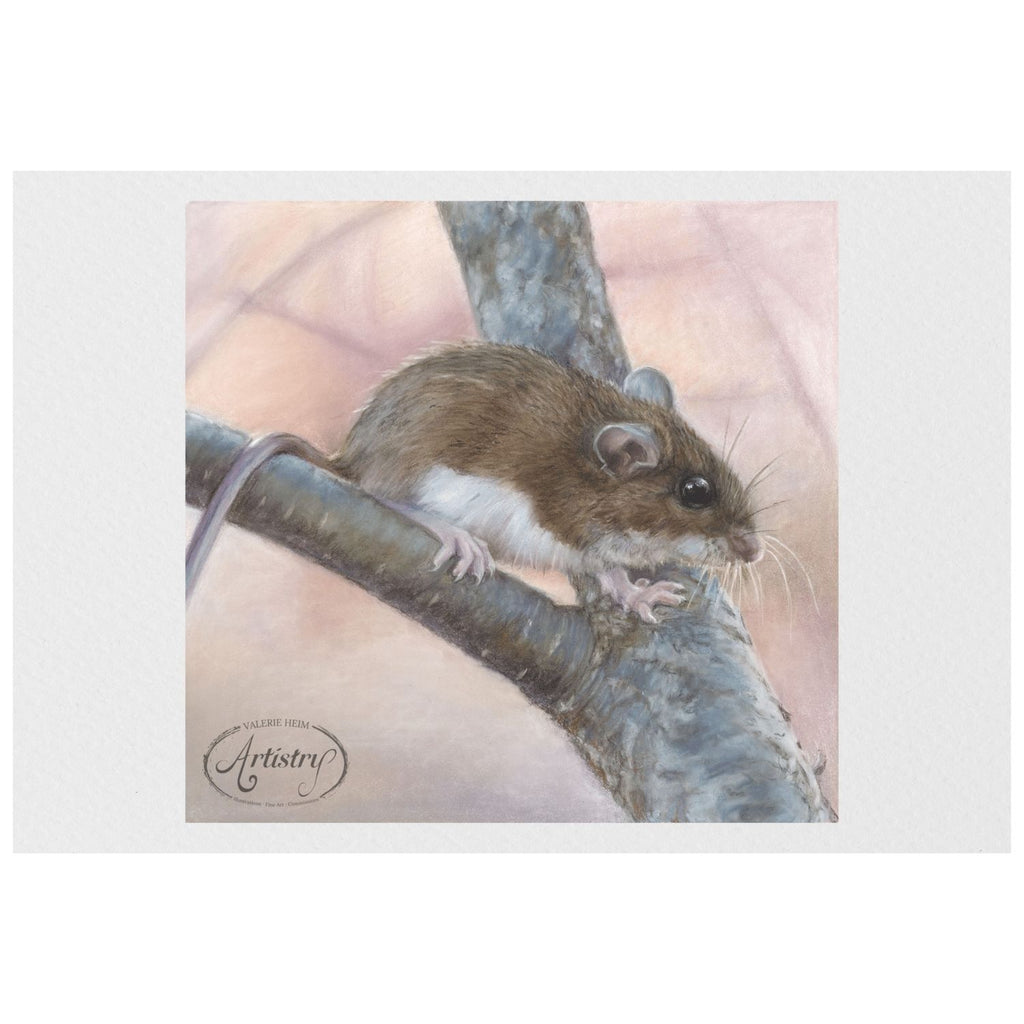 White-Footed Mouse – Woodland Pastel Fine Art Print