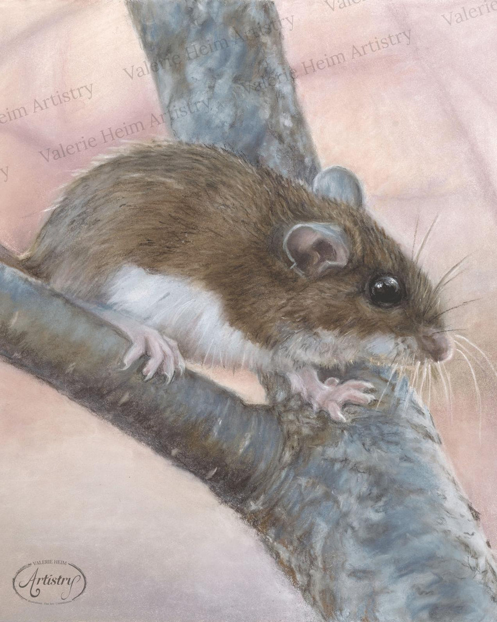 White-Footed Mouse – Woodland Pastel Fine Art Print